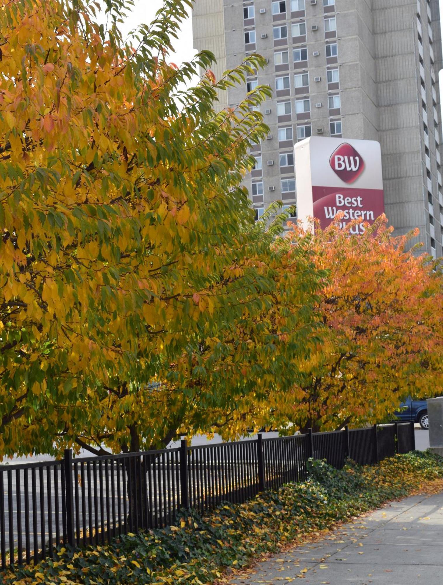 Best Western Plus City Center Σποκάν Εξωτερικό φωτογραφία